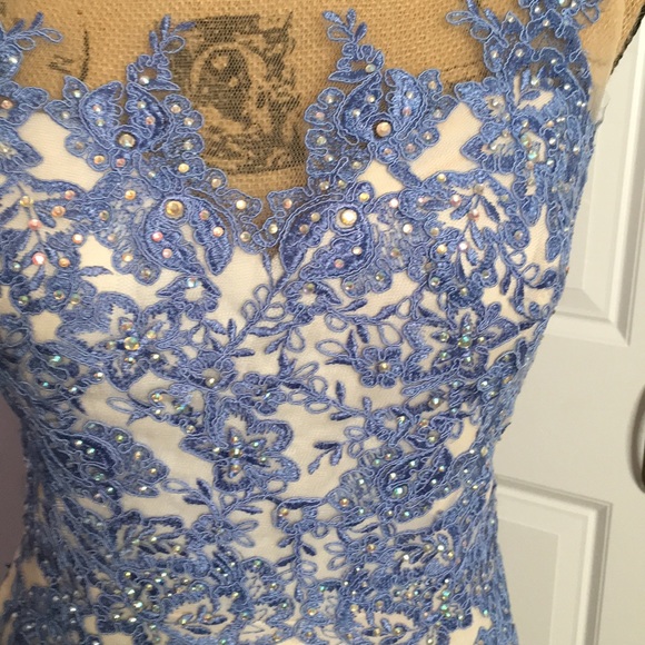 Gorgeous formal prom mardi gras dress - Picture 3 of 3